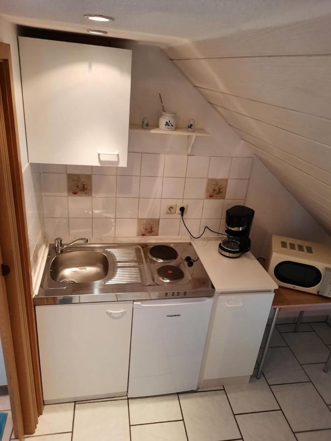 Zum Tischler Apartment Ilmenau Luaran gambar