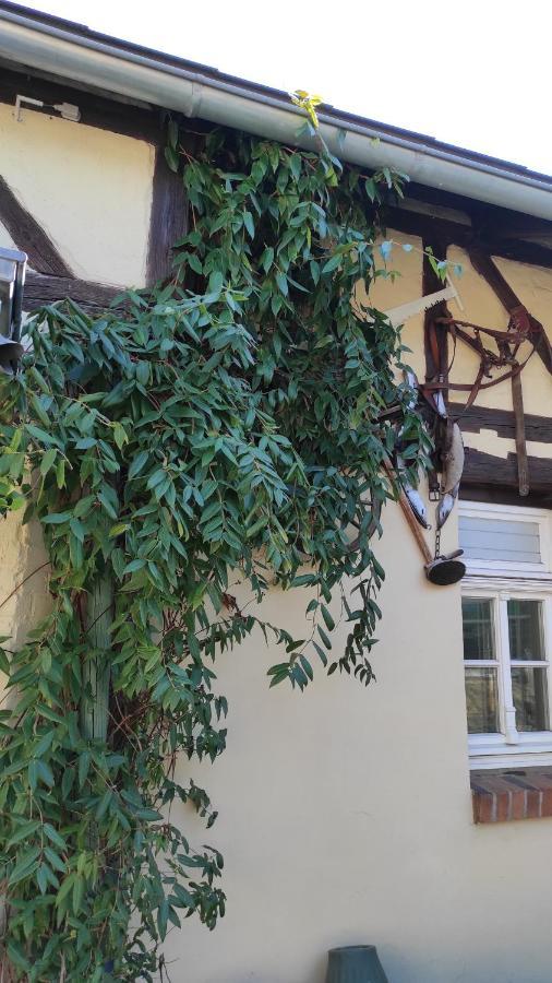 Zum Tischler Apartment Ilmenau Luaran gambar